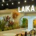 laika cafe 8