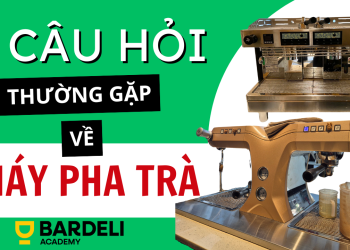 6 câu hỏi thường gặp nhất về máy pha trà