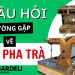 6 câu hỏi thường gặp nhất về máy pha trà