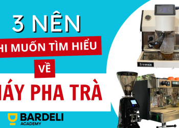 3 nên bạn cần có khi tìm hiểu về máy pha trà